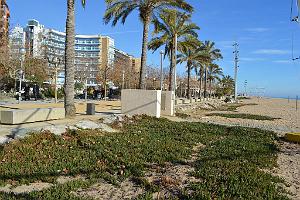 AOBR- Nouvel an 2015- 653- Sardinade Calella
